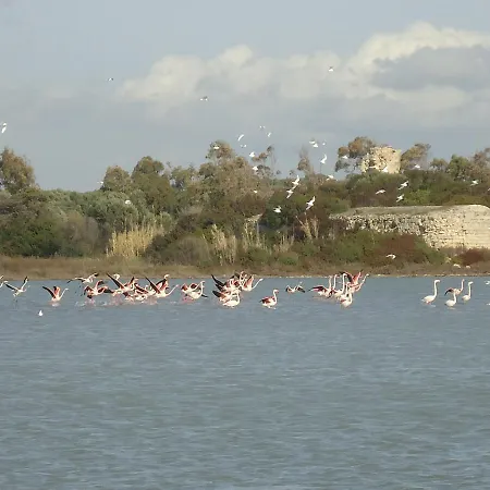 Antico Casale Il Sambuco B&B 마두리아