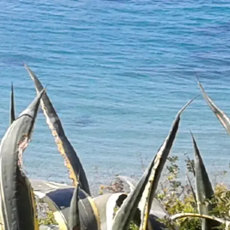 Antico Casale Il Sambuco *