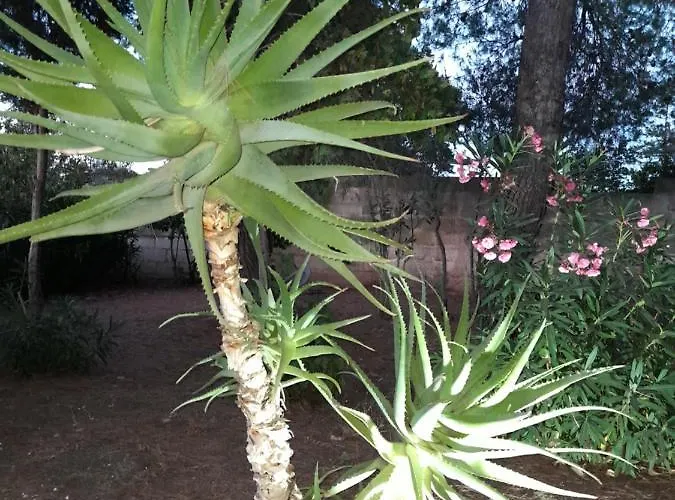 Antico Casale Il Sambuco Bed & Breakfast 4*