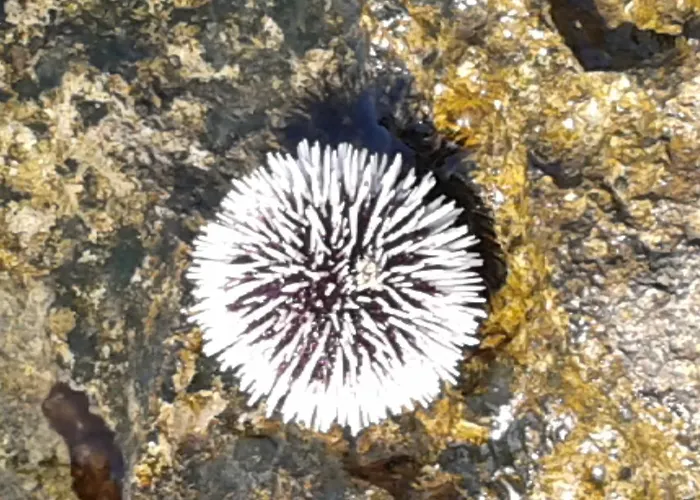 Bed & Breakfast Antico Casale Il Sambuco