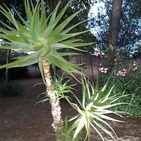 Antico Casale Il Sambuco לינה וארוחת בוקר 4*