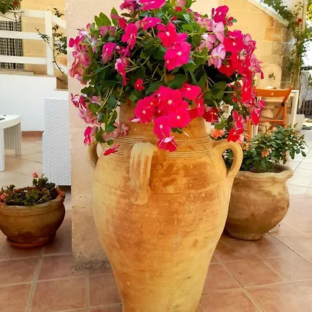 Bed & Breakfast Antico Casale Il Sambuco 4*