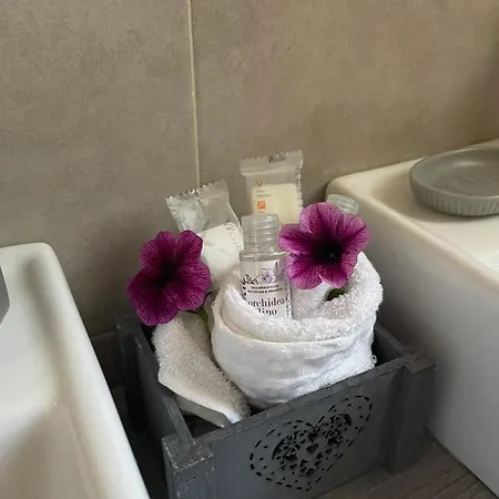 Antico Casale Il Sambuco Bed & Breakfast