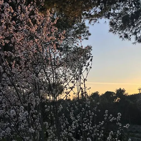 Antico Casale Il Sambuco ماندوريا