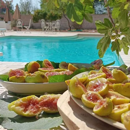 Antico Casale Il Sambuco Bed & Breakfast