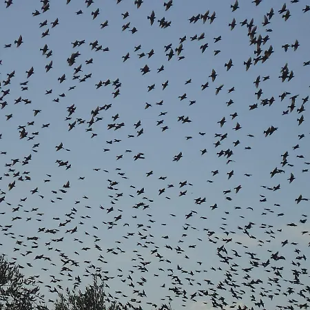 Antico Casale Il Sambuco Bed & Breakfast 4*