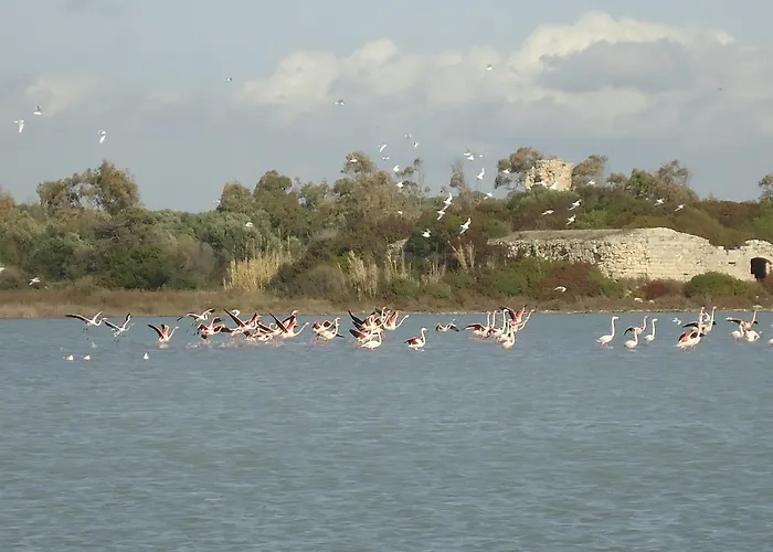 Antico Casale Il Sambuco לינה וארוחת בוקר מנדוריה